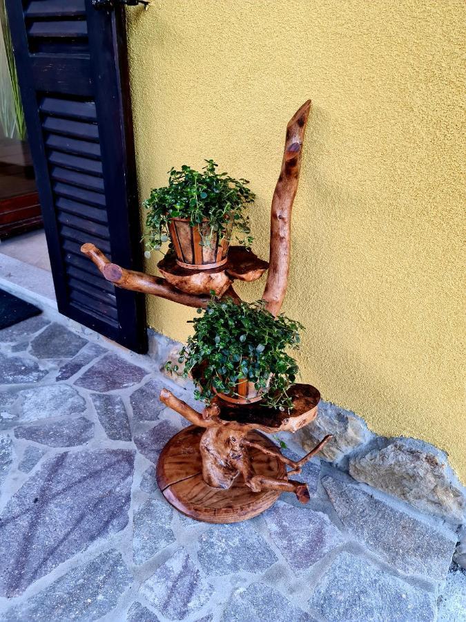 Casa Villanova Homes Nova Vas nad Dragonjo Zewnętrze zdjęcie